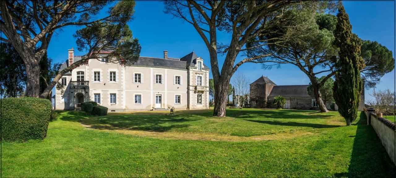 Vignoble Chateau Piegue - Winery Bed & Breakfast Rochefort-sur-Loire Eksteriør bilde