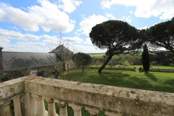 Vignoble Chateau Piegue - Winery Bed & Breakfast Rochefort-sur-Loire Eksteriør bilde